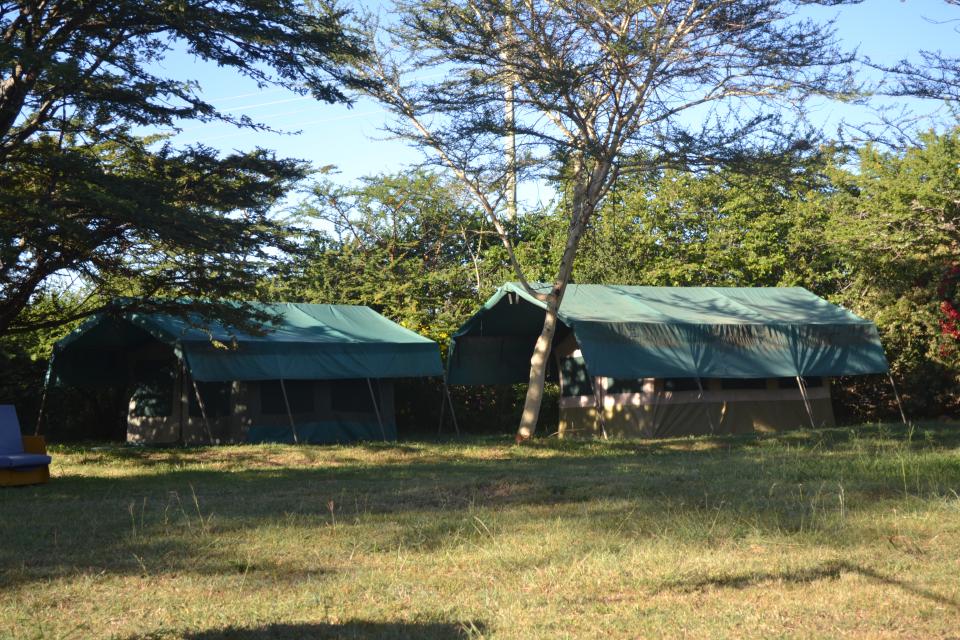 Canvas tents set up under trees at Ngiliriti Campsite.